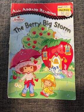 Strawberry Shortcake "The Berry-Big Storm" Children's Book - Vintage